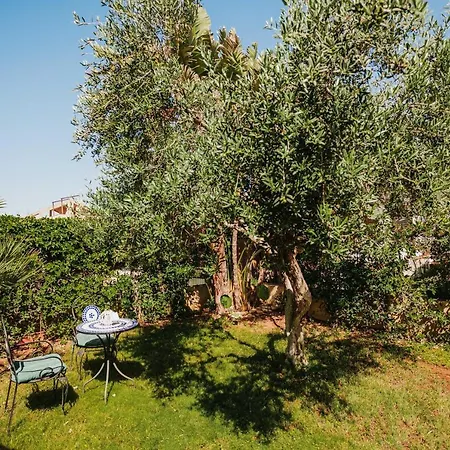 Pino Villa *